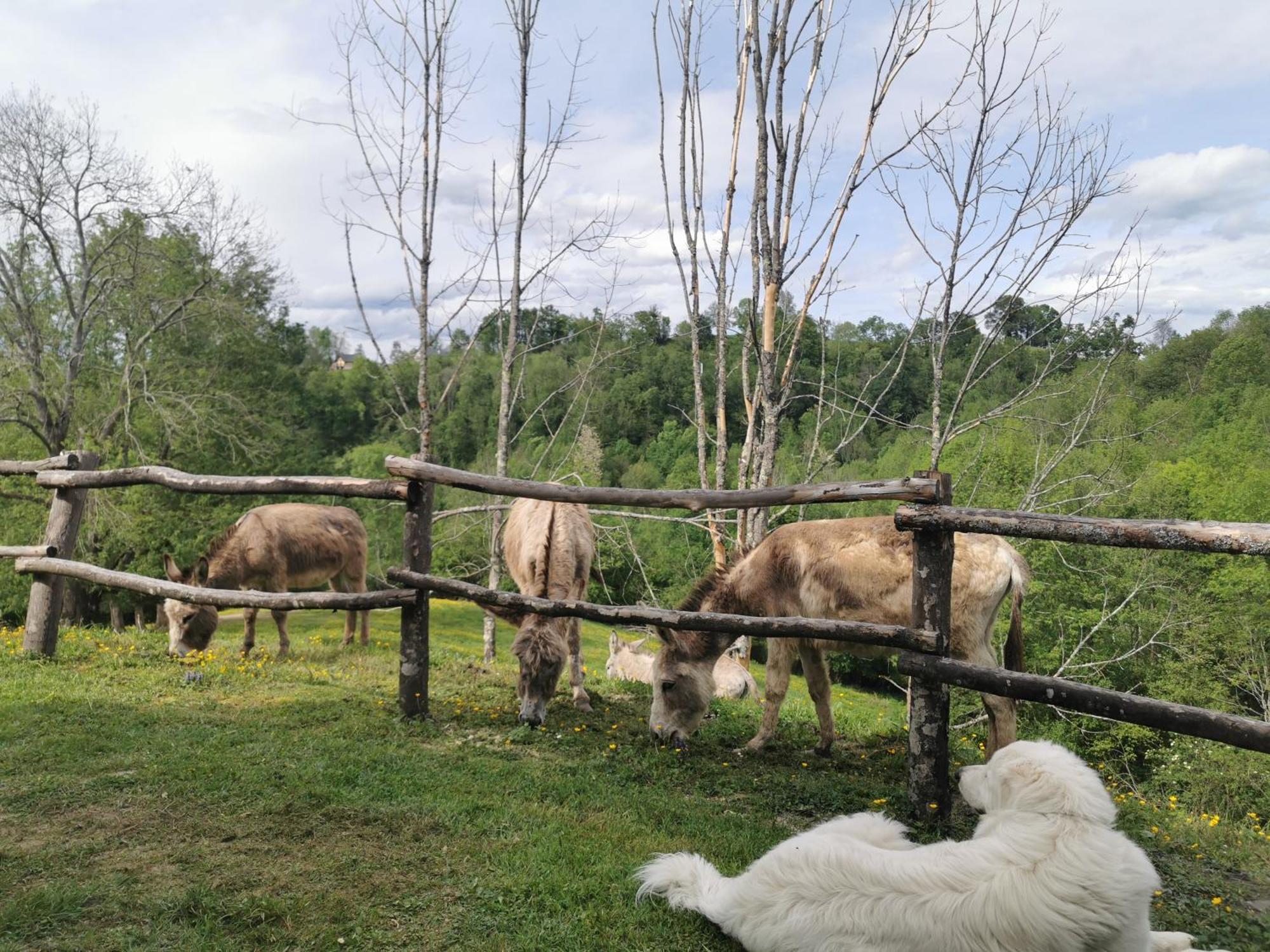 Gites Etche Arguinia Montory Dış mekan fotoğraf